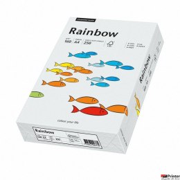 Papier xero A4 160 j.szary 250aR93 RAINBOW 88042791/84 (X)