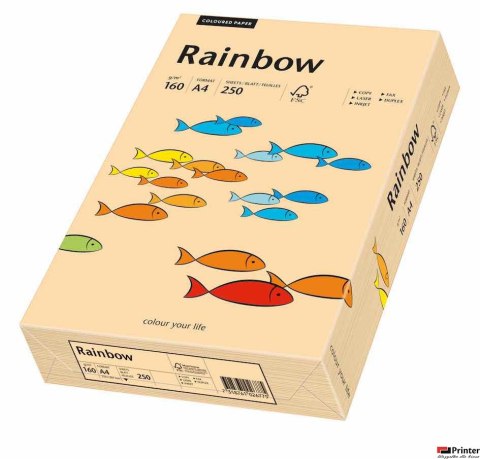 Papier xero A4 160g j.różowy 250a R54 RAINBOW 88042527/23