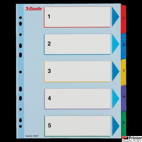 Przekładki kartonowe MYLAR A4 MAXI 1-5 ESSELTE 100207 Przekładki kartonowe MYLAR A4 MAXI 1-5 ESSELTE 100207