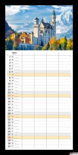 Planer miesięczny 2024 Michalczyk i Prokop T-108S-1 kalendarz ścienny