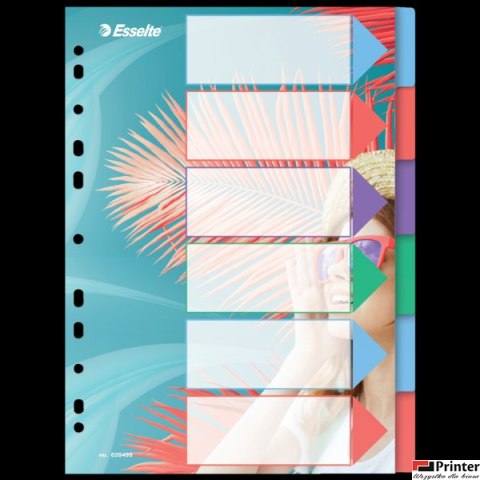 Przekładki ColourBreeze PP A4, 6 przekładek Esselte 628499 Przekładki ColourBreeze PP A4, 6 przekładek Esselte 628499