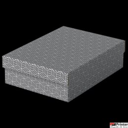 Pudełka domowe do przechowywania, płaskie, rozmiar M, 3 sztuki, szare Esselte 628285