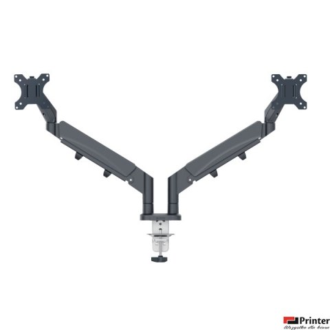 Podwójne ramię Leitz Ergo do monitora, ciemnoszare 65370089