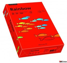 Papier xero kolorowy RAINBOW 80gr. ciemnoczerwony R28 88042475
