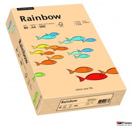 Papier xero kolorowy RAINBOW łosiosiowy R40 88042497