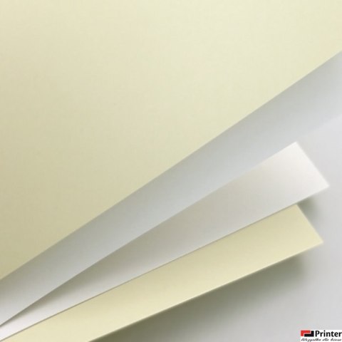 Karton ozdobny Gładki kremowy 250g A4 20ark. 202802 GALERIA PAPIERU Karton ozdobny Gładki kremowy 250g A4 20ark. 202802 GALERIA PAPIERU