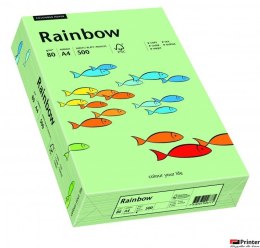 Papier xero kolorowy RAINBOW przygaszona zieleń R75 88042629