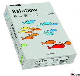 Papier xero kolorowy RAINBOW szary R96 88042805