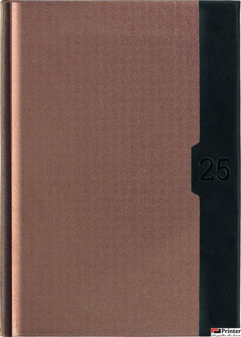 Kalendarz A-5 STANDARD książkowy (KS1), 22 - złoty linea / czarny 2025 TELEGRAPH Kalendarz A-5 STANDARD książkowy (KS1), 22 - złoty linea / czarny 2025 TELEGRAPH