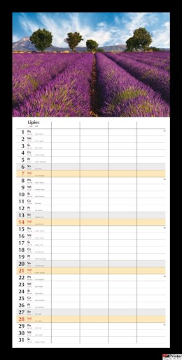 Planer miesięczny 2024 Michalczyk i Prokop T-108S-2 kalendarz ścienny