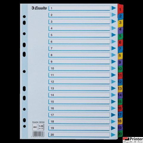 Przekładki kartonowe MYLAR A4 1-20 100163 białe ESSELTE Przekładki kartonowe MYLAR A4 1-20 100163 białe ESSELTE