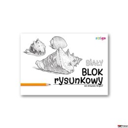 Blok rysunkowy A4 20k 90g biały SPA013