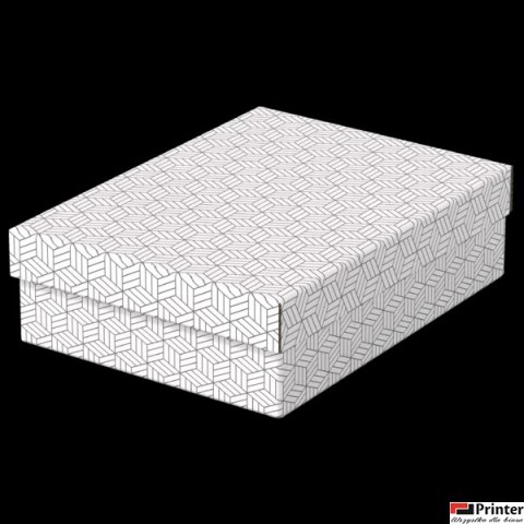 Pudełka domowe do przechowywania, płaskie, rozmiar M, 3 sztuki, białe Esselte 628284