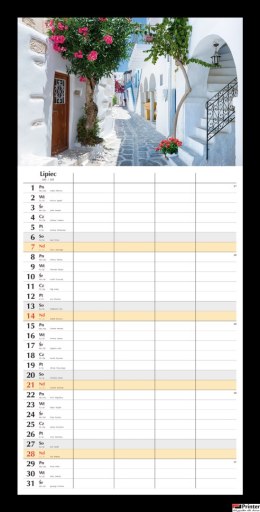 Planer miesięczny 2024 Michalczyk i Prokop T-108S-3 kalendarz ścienny