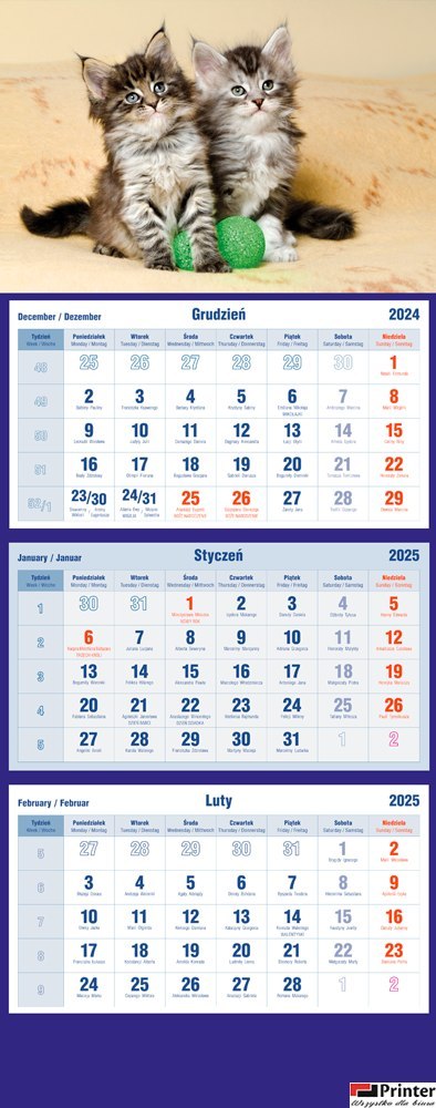 Kalendarz trójdzielny 2025 Koty Michalczyk i Prokop T-105T-10