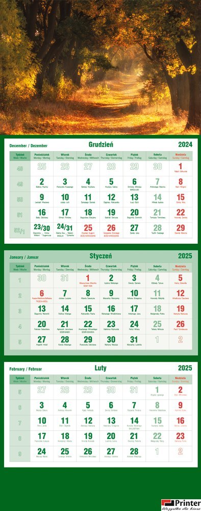 Kalendarz trójdzielny 2025 Las Michalczyk i Prokop T-105T-03