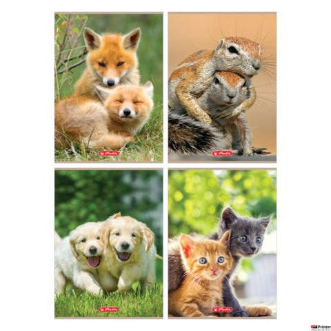 Zeszyt A4, 32 kartki w kratkę, Animals 400197964 HERLITZ Zeszyt A4, 32 kartki w kratkę, Animals 400197964 HERLITZ