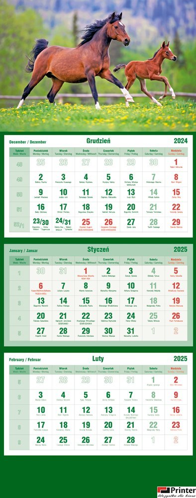 Kalendarz trójdzielny 2025 Konie Michalczyk i Prokop T-105T-11