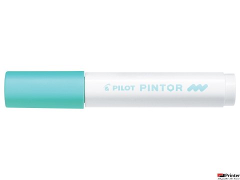 Marker PINTOR M pastelowy zielony PISW-PT-M-PG PILOT (X)