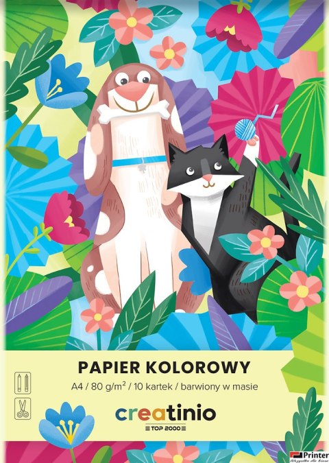 Papier kolorowy Top 2000 Creatinio A3 10 kartek 80 g 400176685