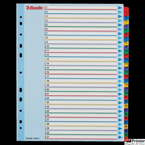 Przekładki kartonowe MYLAR A4 MAXI 1-31 ESSELTE 100210 Przekładki kartonowe MYLAR A4 MAXI 1-31 ESSELTE 100210